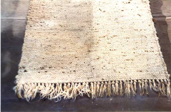rug before & after
